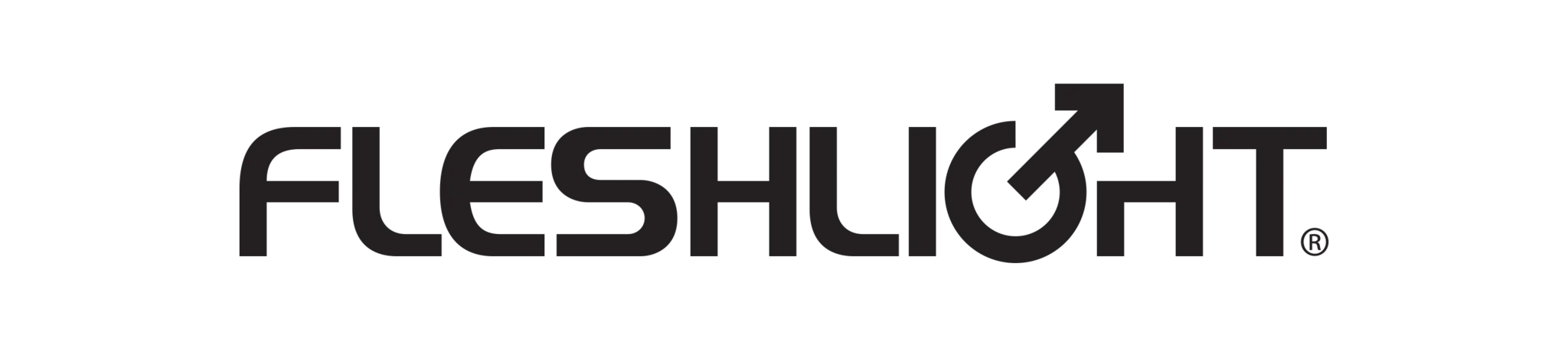 Fleshlight Case: Silver - Image 7